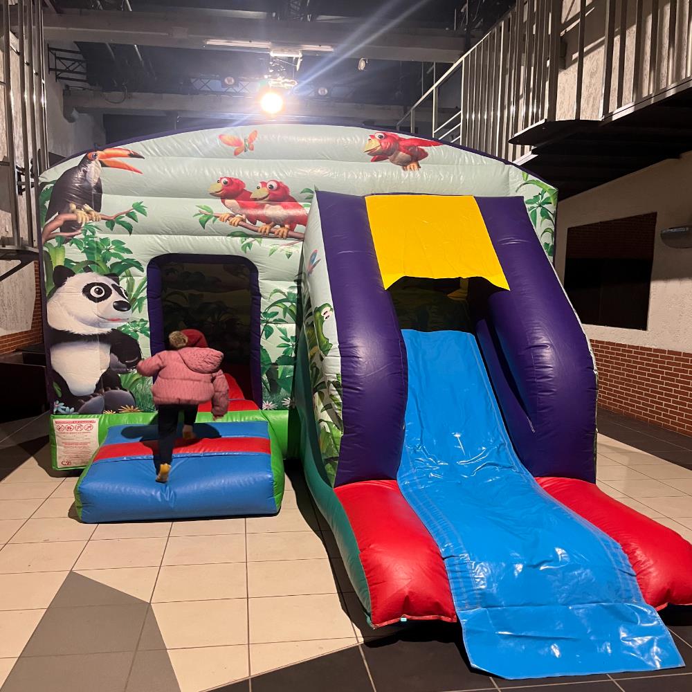 Photo Maison Toboggan Jungle Panda